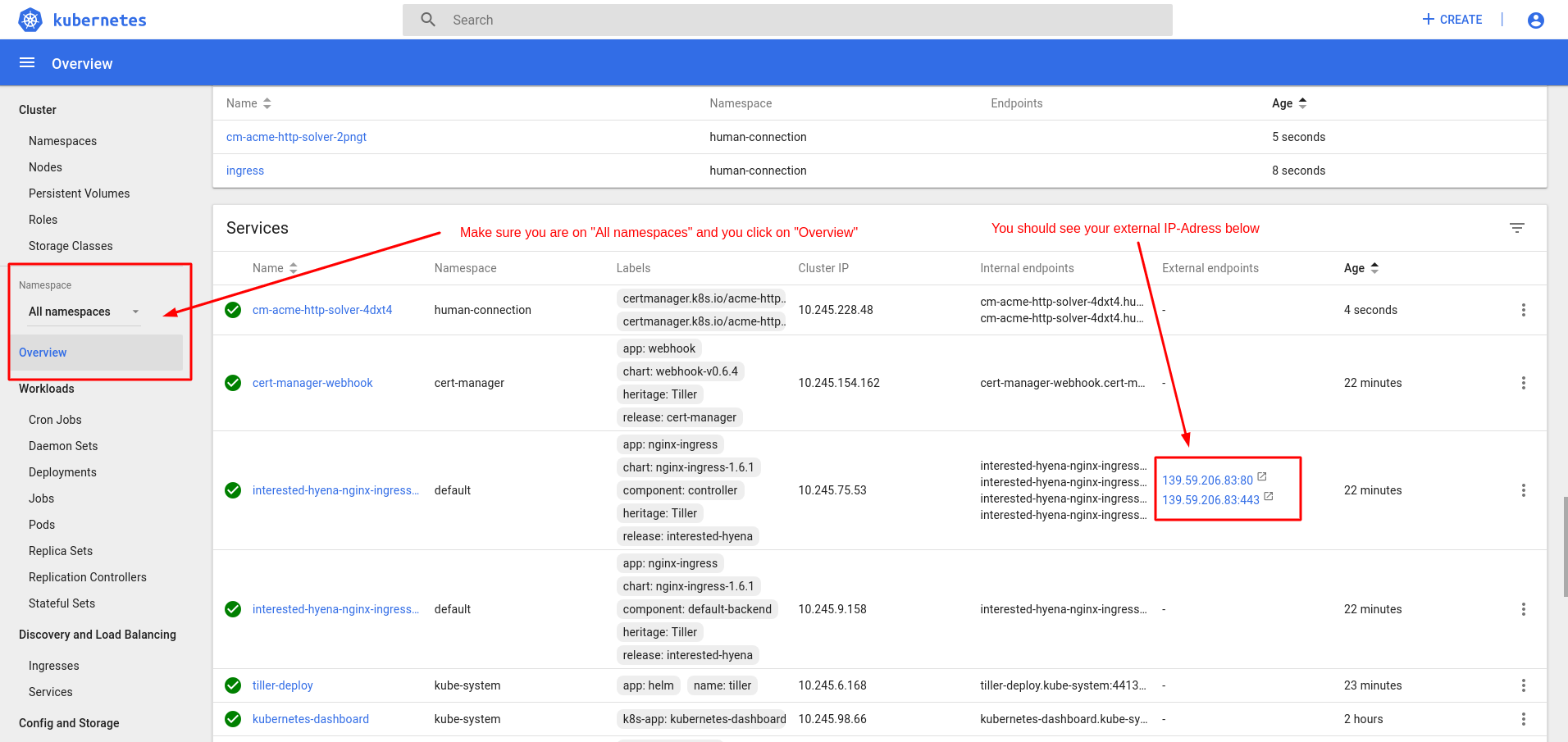 Screenshot of the kubernetes dashboard showing the extrenal ip address