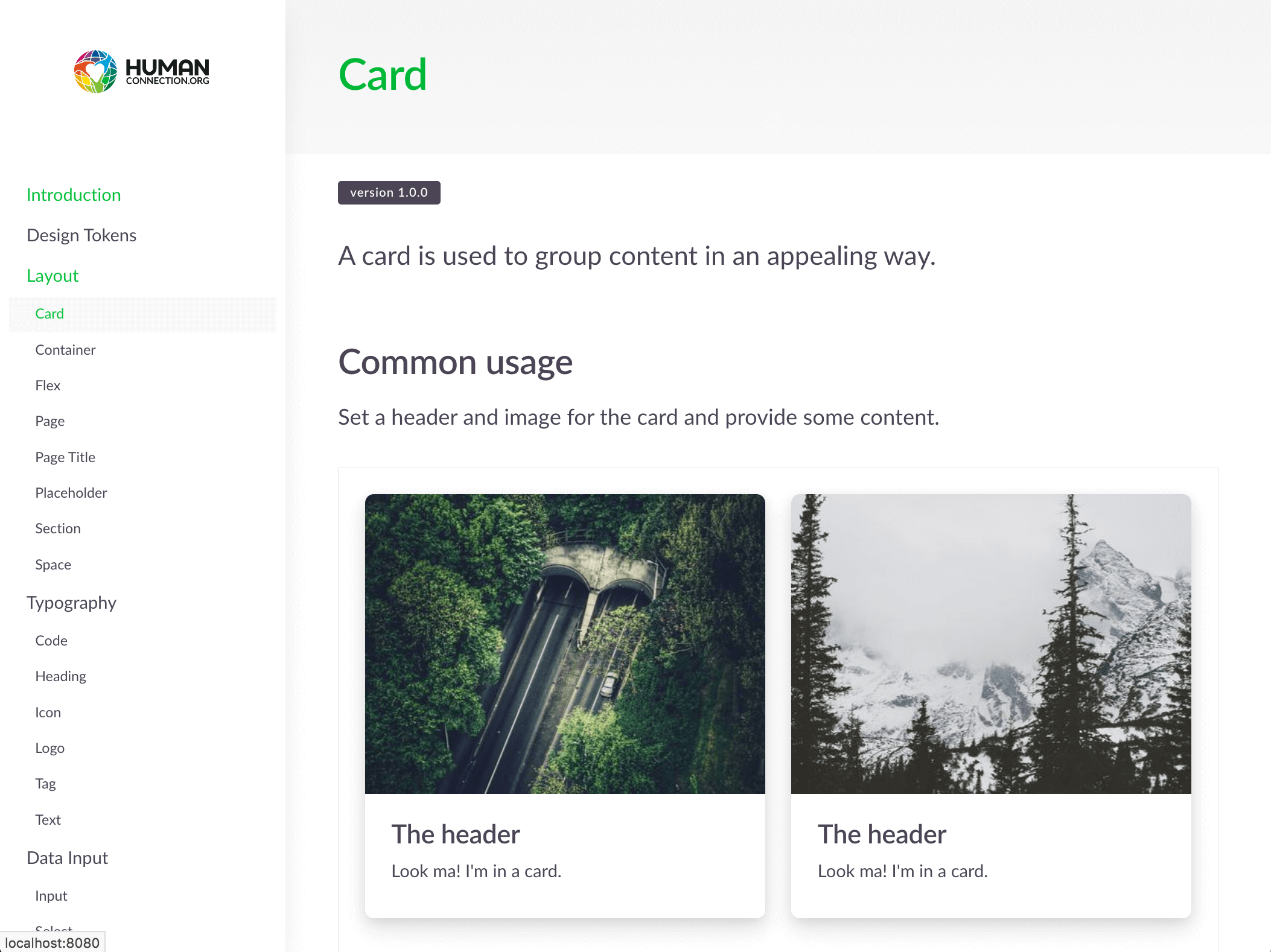 Styleguide in action under https://localhost:8080